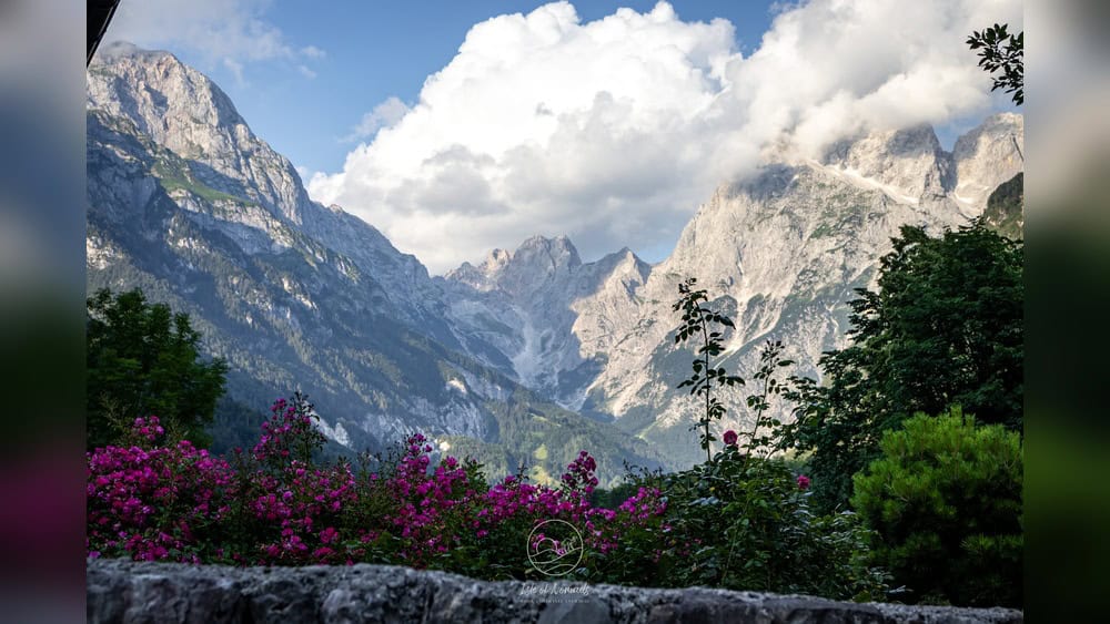 Albania'S Nomad Summer: Still under the Radar?