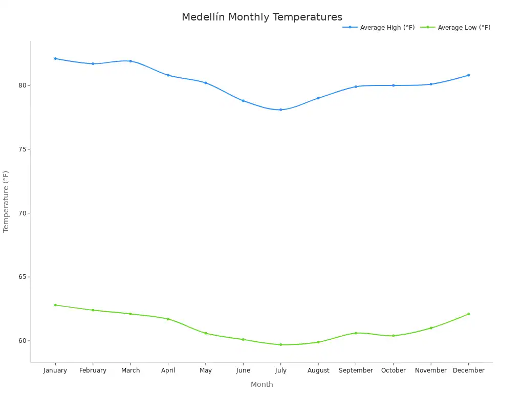 Line chart showing average high and low temperatures in Medellín by month